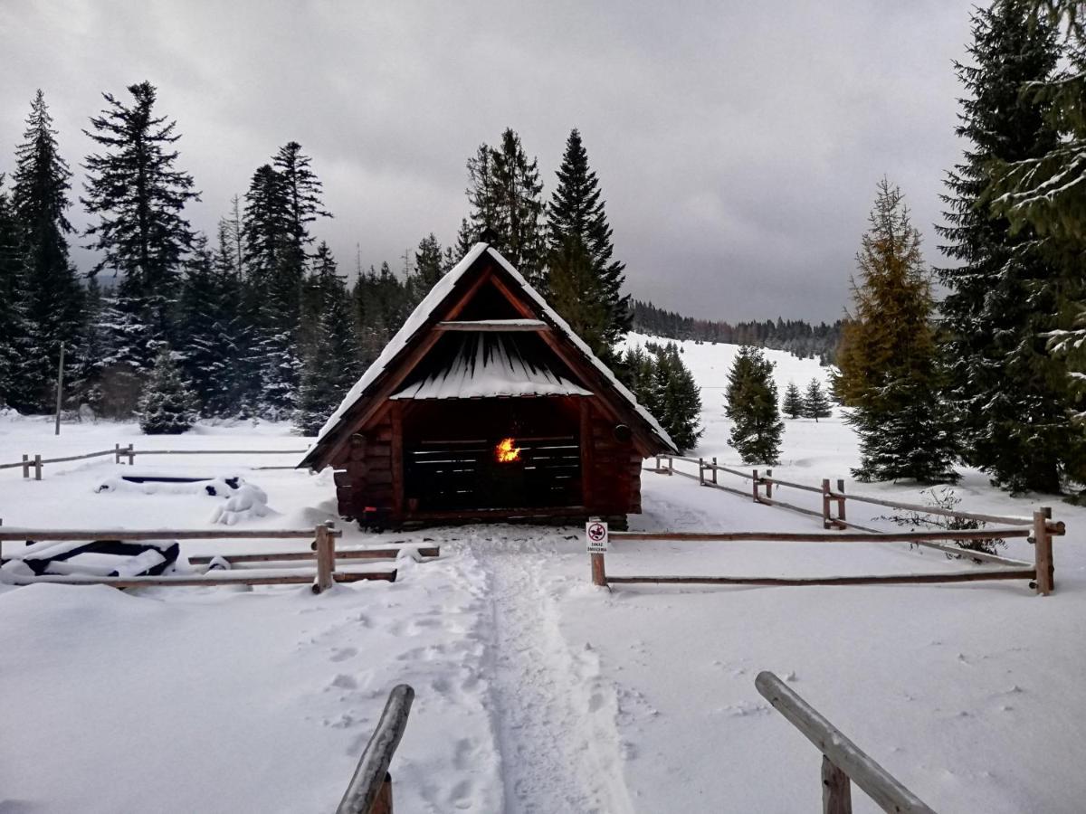 Gorska Lesniczowka Villa Zubrzyca Gorna Esterno foto